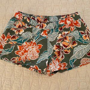 Patagonia Board Shorts